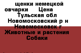 щенки немецкой овчарки   › Цена ­ 6 000 - Тульская обл., Новомосковский р-н, Новомосковск г. Животные и растения » Собаки   